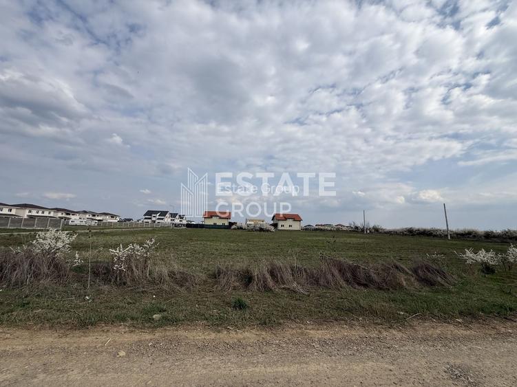 Teren SAD Mosnita Noua - 4