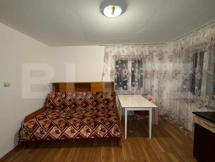 Casa cu 4 camere, 117 mp, teren generos de 5594 mp, in Criscior - 13