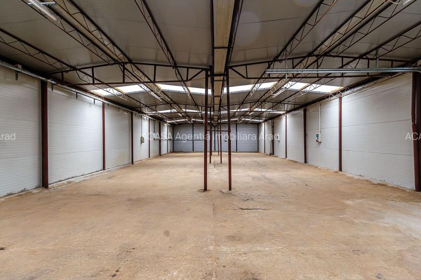 Hale depozitare/producție 2.000 mp si 10.000 mp teren în Pecica - 5