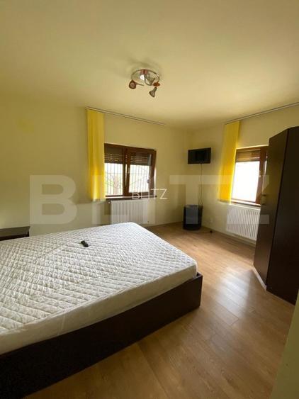 Casa cu potential turistic, 380 mp, FUNDATA - 10