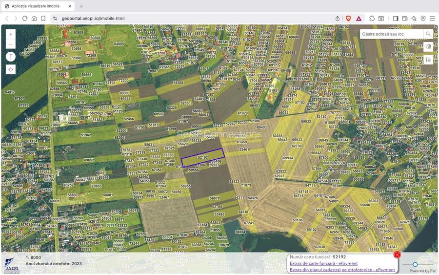Teren intravilan 18.200 mp Saftica Balotesti - 3