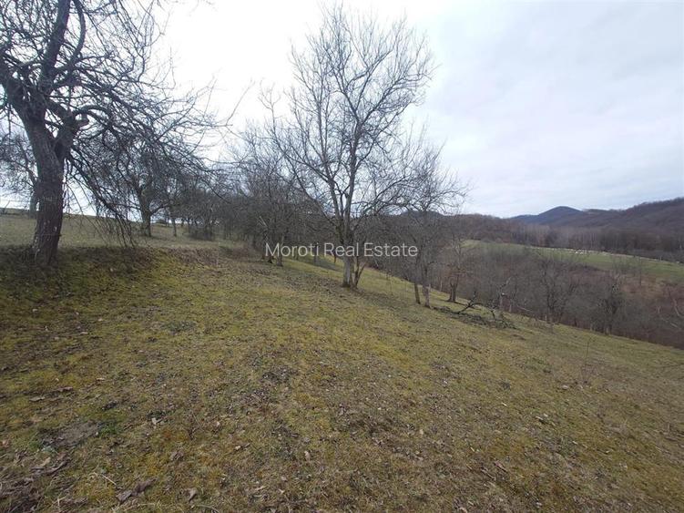 Teren intravilan si extravilan Luncoiu de Jos - 18