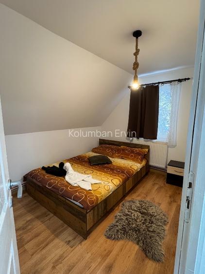 Casa de vacantā la Harghita -Sântimbru-Bāi - 9