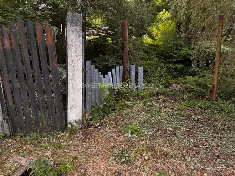 Oportunitate de investitie Cabana Cartisoara Zona Turistica - 12