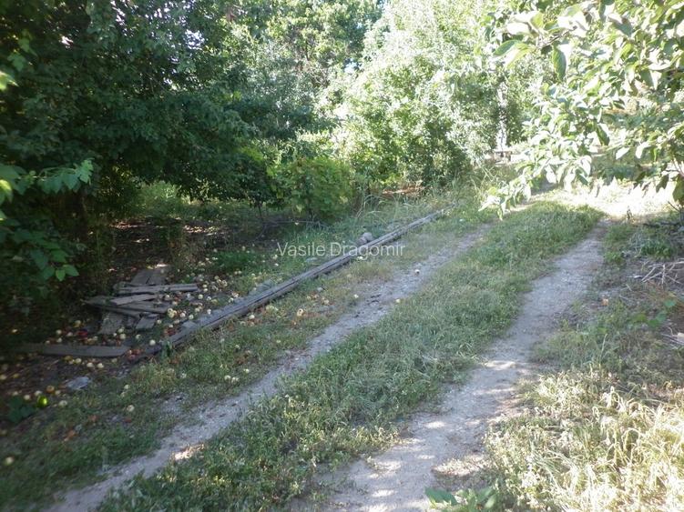 Vidra, teren intravilan 4.800 mp (sau 1.200 mp) - 5