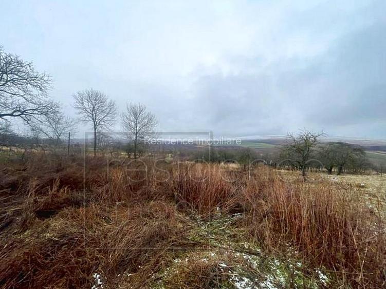 Teren 3200 mp! Casa 2 camere+bucatarie de vara+grajd, Aiton - 10