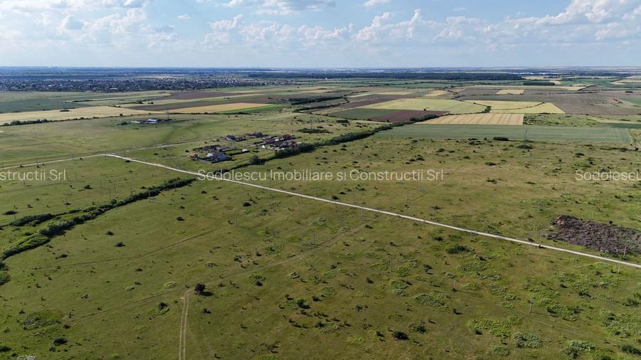 Terenuri zona  MOSNITA NOUA -  ALBINA . - 8