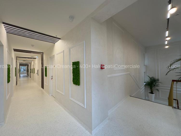 Spatii medicale, cafenea, intre Iulius si Palas Mall - 9