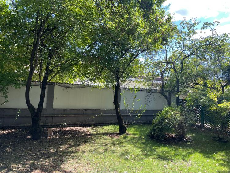 Iancu Nicolae vila 5 dormitoare gradina matura - 11