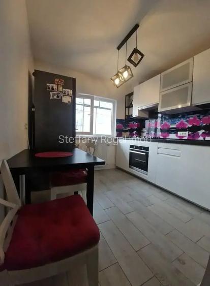 Apartament 2 camere de vânzare Gorjului - 9