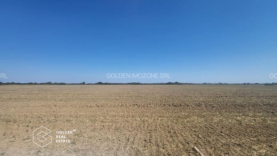 Teren Mosnita Noua, 11600 mp - 3