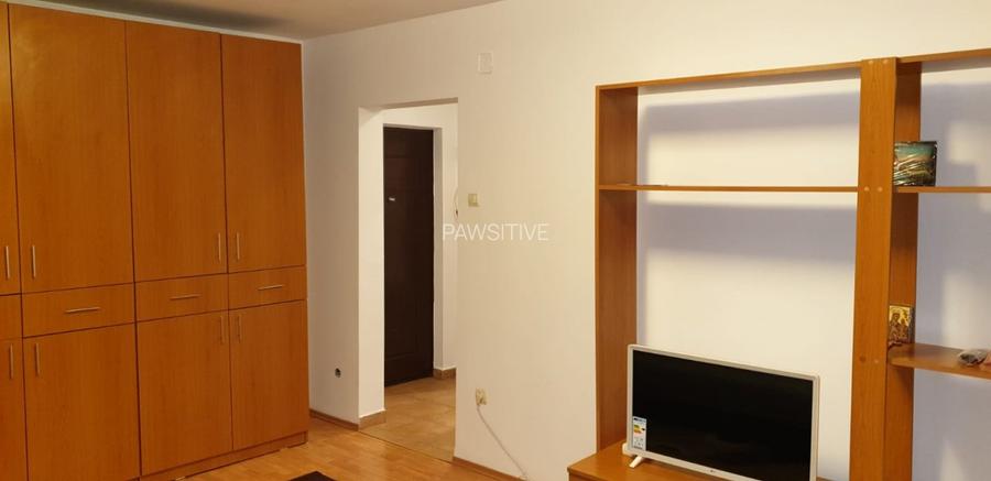 Tineretului-Parc,Garsoniera Vedere Parc - 3