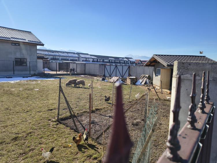 De vanzare 500 mp teren intravilan, Cartier Izvor, Tarlungeni, Brasov - 5