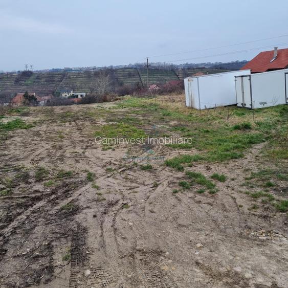 Vanzare Teren intravilan 3133 mp strada Sofiei, Oradea, Bihor - Exclusivitatate - 6