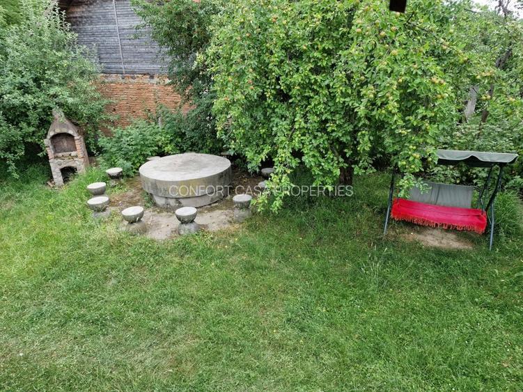 Balilesti - Stradal, casa spatioasa, 4600 mp teren intravilan - curte spatioasa - 8