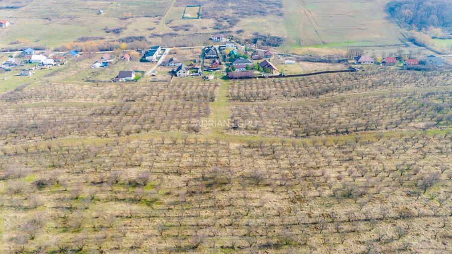 Vanzare Teren Intravilan 800 mp Visani Sf. Ilie PUZ Casa D+P+E - 2