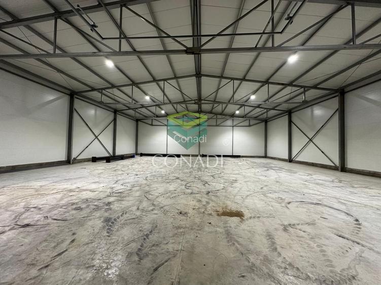 Inchiriere Hala de Depozitare | Oxigenului | Cernica | Pantelimon - 4