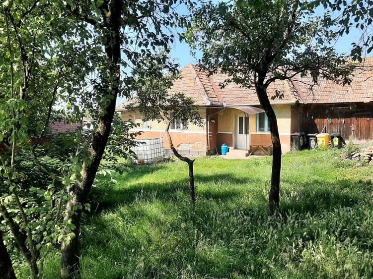 Teren cu utilitati si casa demolabila in Rediu - 3