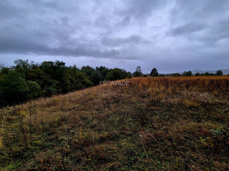 Comision 0%, teren extravilan 12497 mp Sinca Noua - 19