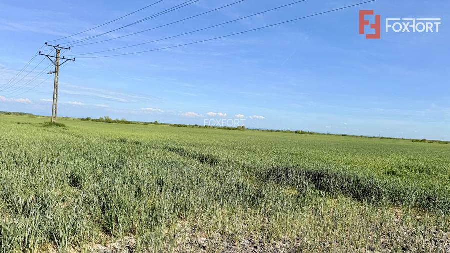 Teren intravilan de vanzare cu toate utilitatile - Bucovat - 3
