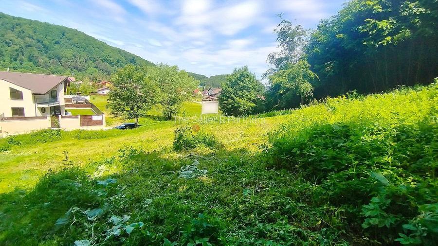 Teren Intravilan - 6