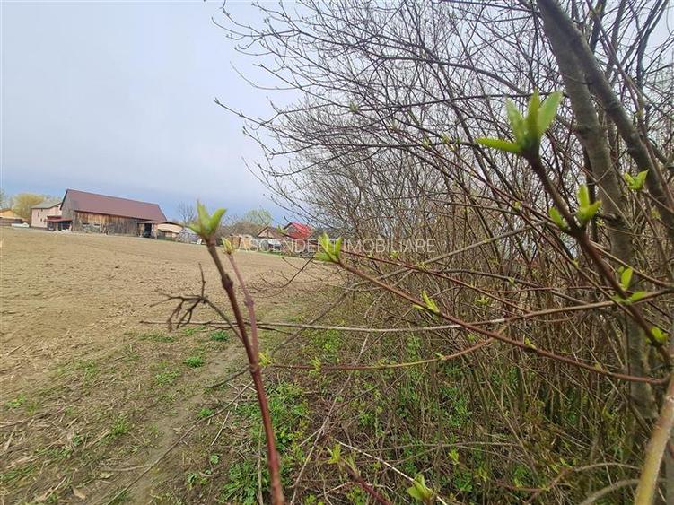 Teren 1.700 mp intravilan, natura, vecinatati bune, potential dublu, Lunca Calni - 14