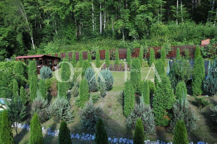 AX949 Pensiune Exclusivista In Inima Statiunii Sovata - 4