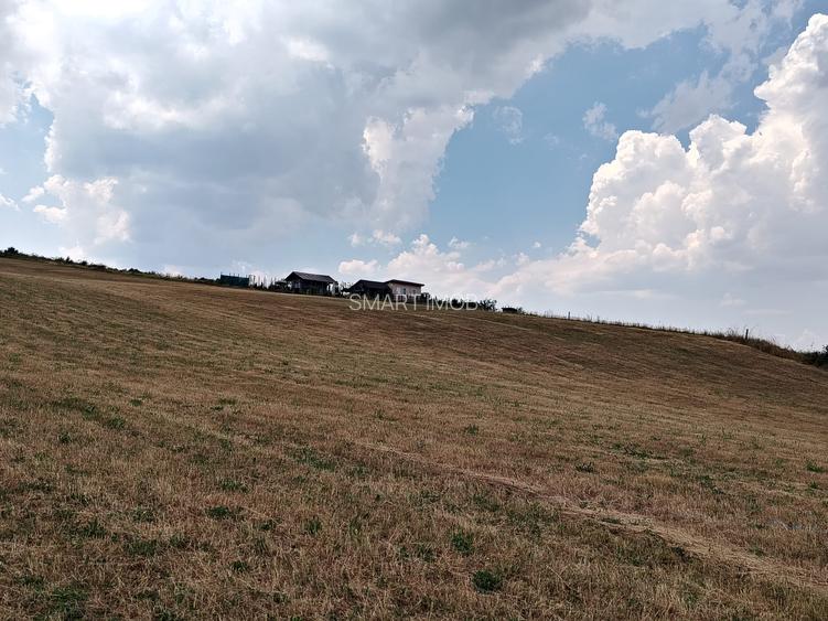 2 Parcele de teren extravilan zona Bradet Pret 3000eur/ar neg usor - 3