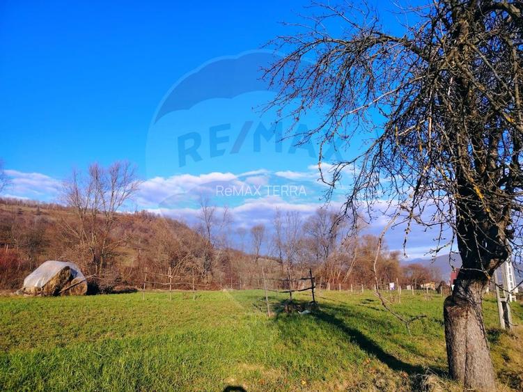 COMISION 0%  Teren intravilan de vanzare in Barsana (26 ARI) - 11