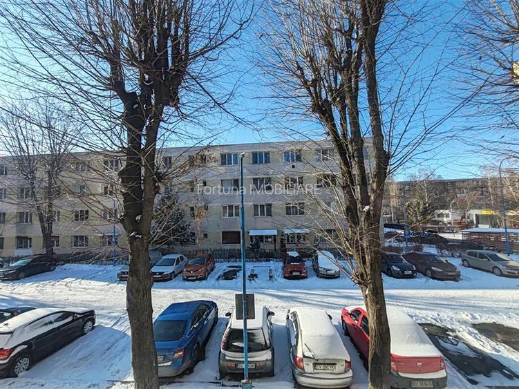 Camera cu baie Tractorul - 8