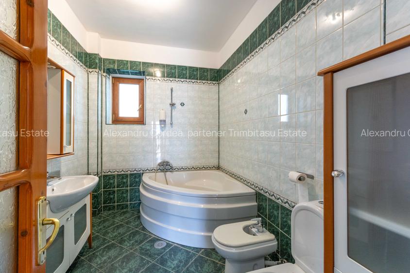 Aviatiei | Smaranda Braescu | Vila reprezentativa de inchiriat - 28