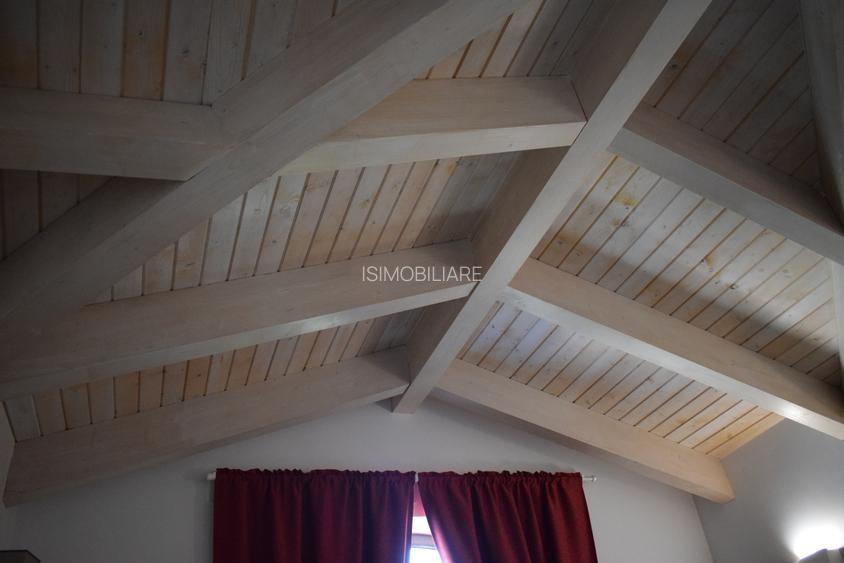 Conac lac Snagov cu ponton - 17