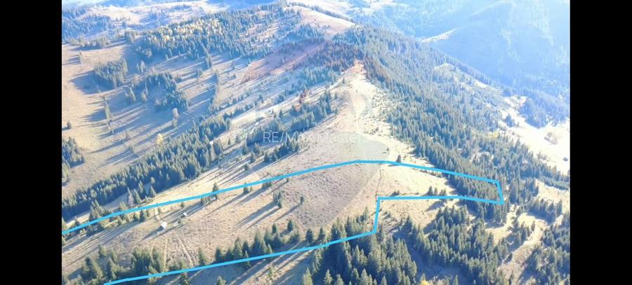 Teren 47,732mp Panaci / Strada MIhailet - 5