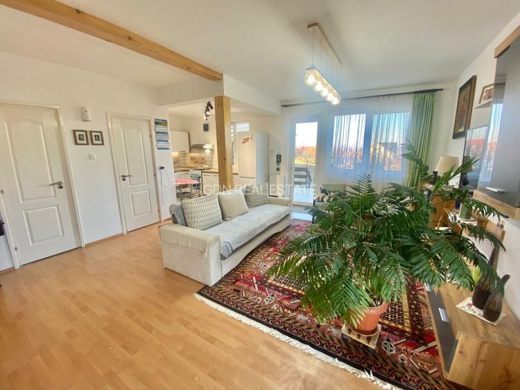 2 Case in regim P+M cu 9 camere, 3 băi, teren 1811mp, front 30m, Paleu - 19