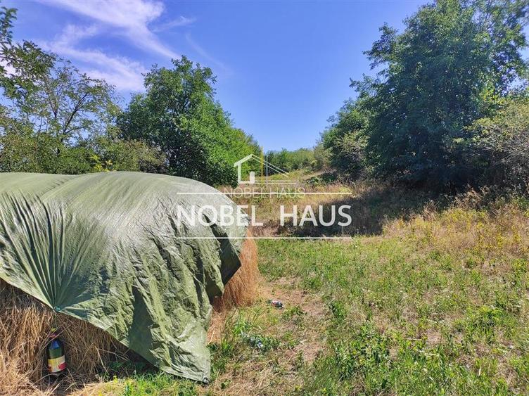 Teren 6200 mp, intravilan, sat Bogesti, comuna Pogana - 3