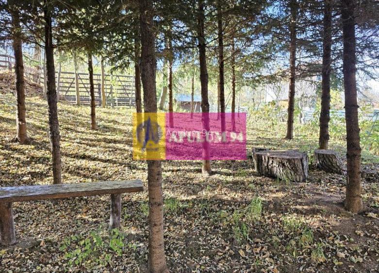 Casă de vânzare în Provița de Jos - 19