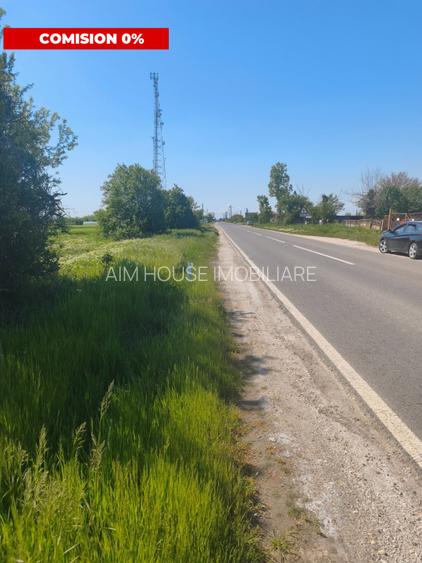 Teren agricol 12.500 mp | Deschidere directă DN61 | Dublu acces | Corbii Mari - 7