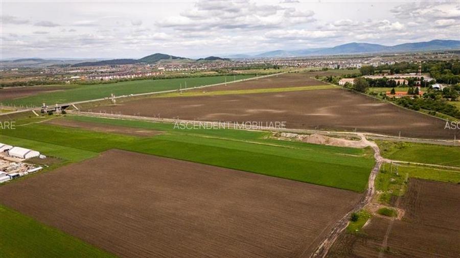 FILM! Teren intravilan, cu PUZ, pe 10.000 mp, Grivitei, Brasov - 5