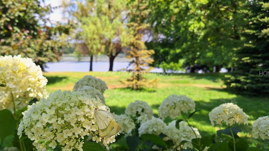 Vilă la liziera pădurii Mogoșoaia - 24