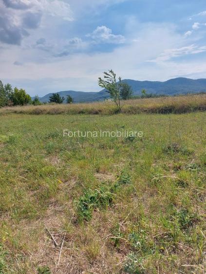 Teren intravilan Piatra Neamt - 3