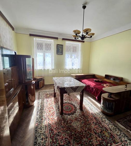 Casa rustica accesibila-Sacele, Bulevardul George Moroianu - 4