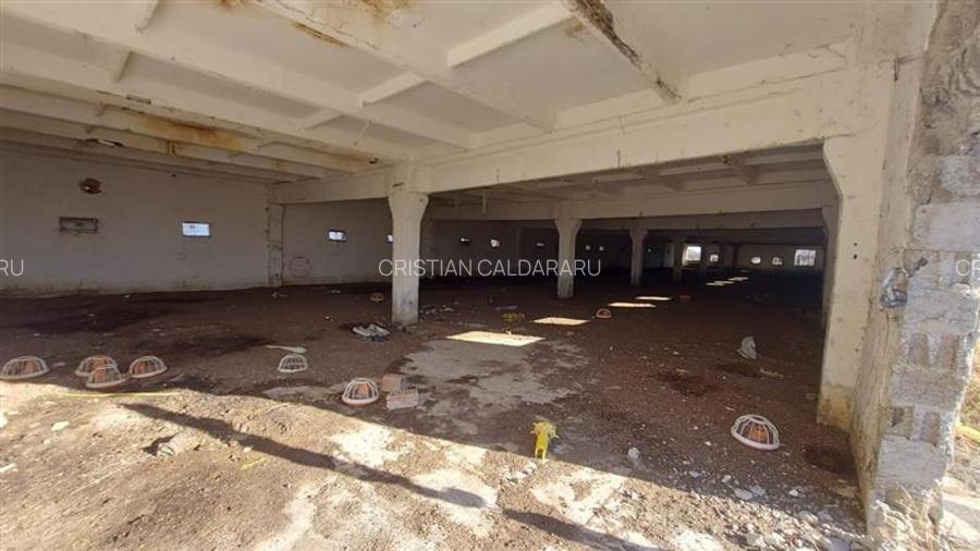Vanzare depozit/hala/spatiu industrial Buftea -Crevedia - Butimanu - DN1A, Dambo - 8