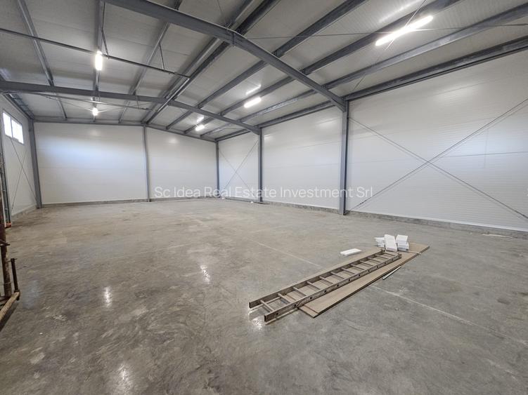 Hale noi depozitare Lugoj diferite dimensiuni 115 mp - 530 mp utili!! - 3