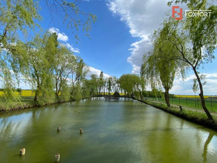 Vila Duplex cu lac si piscina Giarmata Vii  cu 5880 mp de teren - ID V5269 - 22