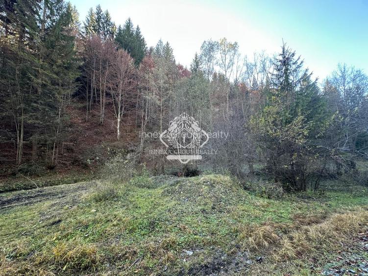 Teren 2.882 mp – oportunitate investitie - Cheile Dâmbovicioarei - 18