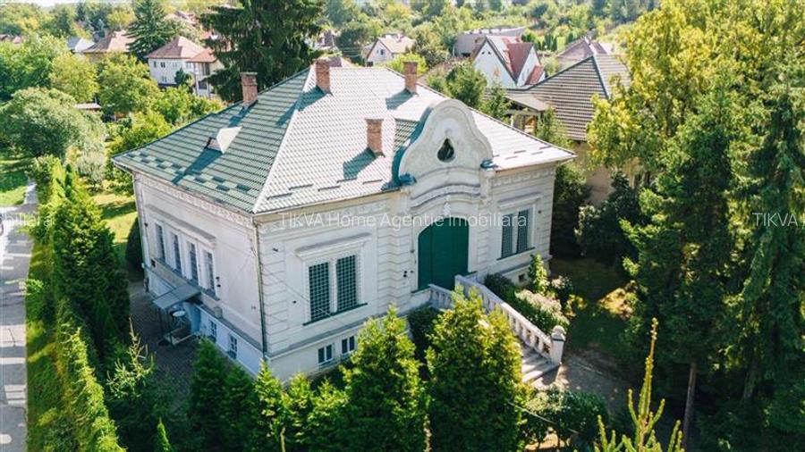 Vila in stil Art Nouveau (Targu Mures, str. Alexandru Papiu Ilarian) - 2