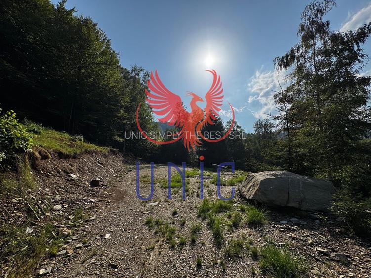 18000 mp de natura pura ,Lupeni, langa Straja - 17