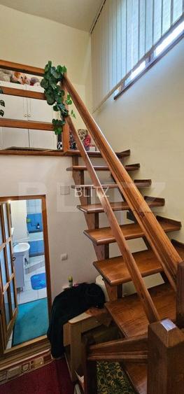 Casa deosebita, 3000 mp teren, 6 camere zona linistita - Barcani - 13