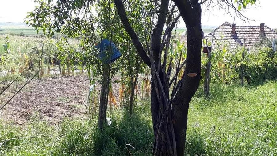 Casă independentă de vânzare - 11