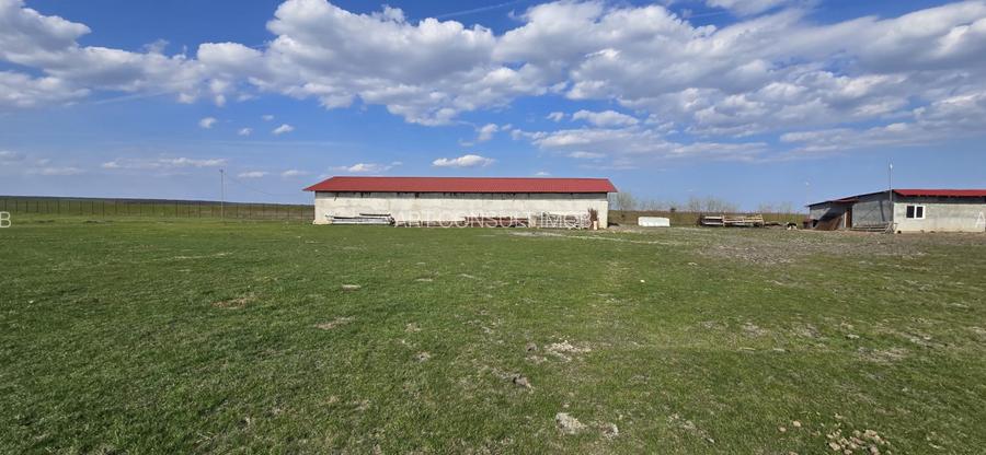 Fermă Zootehnică de Vânzare 6 Ha | Vaci și Oi | Grajd si Saivane | Calugareni | - 8